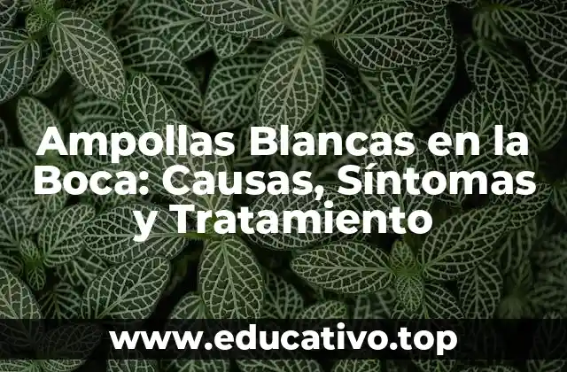 Ampollas Blancas en la Boca: Causas, Síntomas y Tratamiento