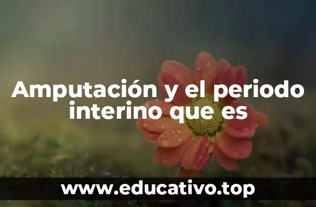 Amputación y el periodo interino que es