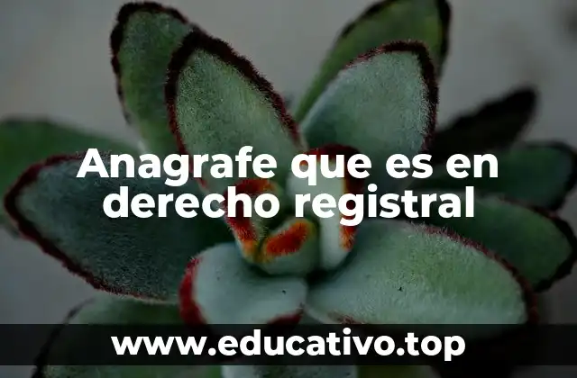 Anagrafe que es en derecho registral