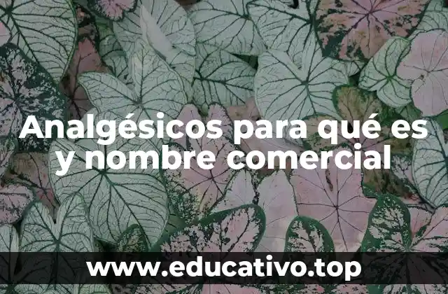 Analgésicos para qué es y nombre comercial