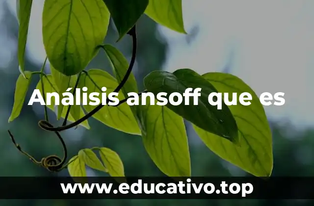 Análisis ansoff que es