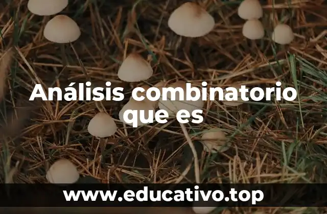 Análisis combinatorio que es