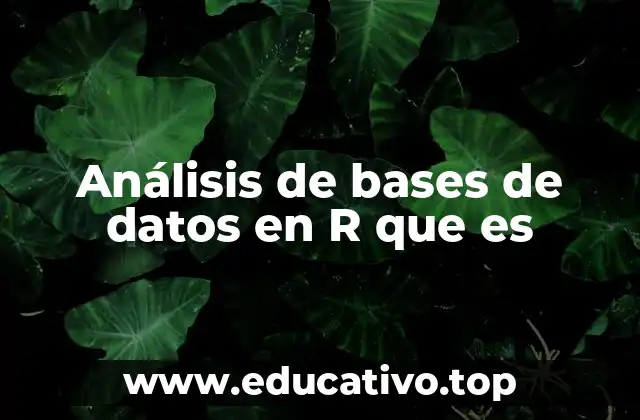 Análisis de bases de datos en R que es