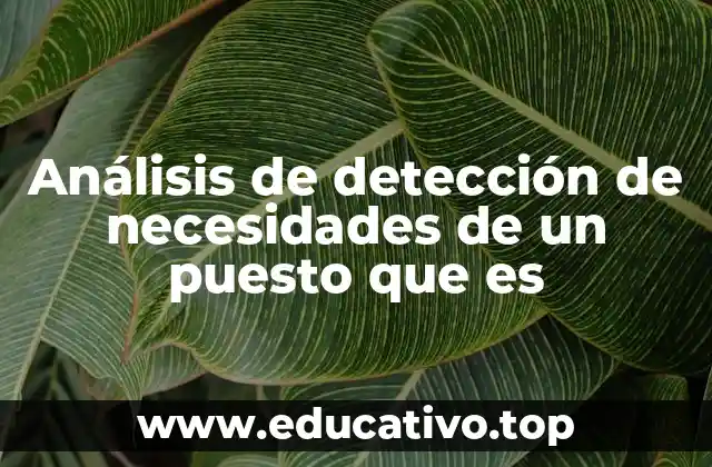 Análisis de detección de necesidades de un puesto que es