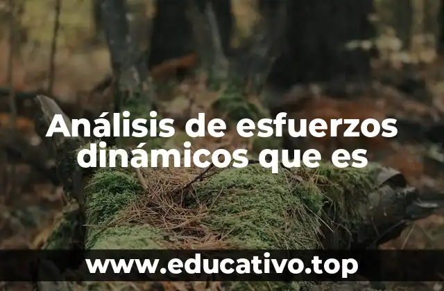 Análisis de esfuerzos dinámicos que es