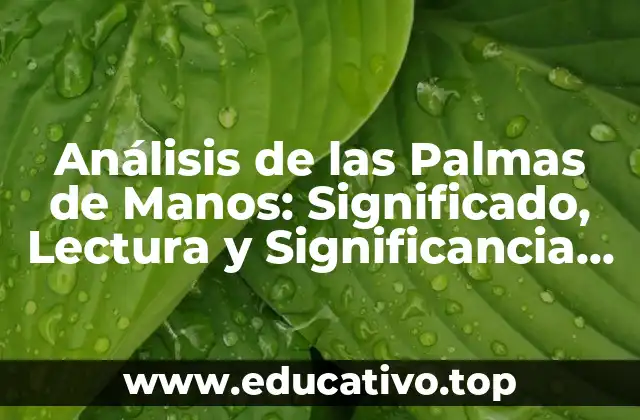 Análisis de las Palmas de Manos: Significado, Lectura y Significancia en la Astrología