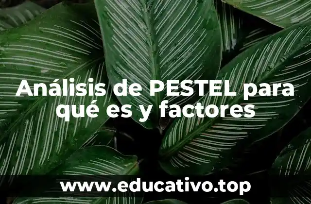 Análisis de PESTEL para qué es y factores