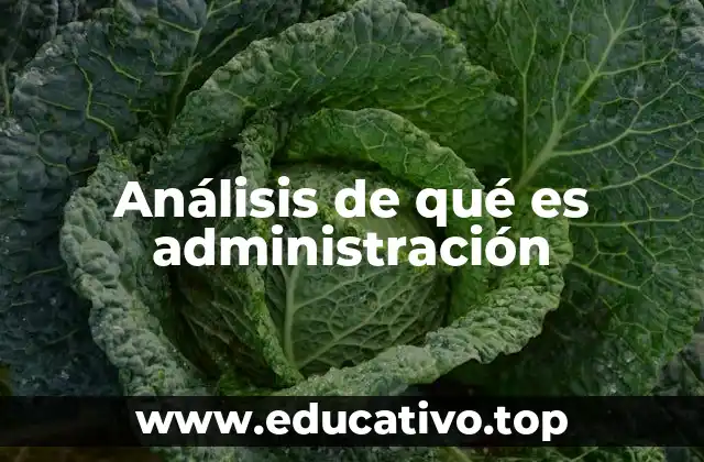 Análisis de qué es administración