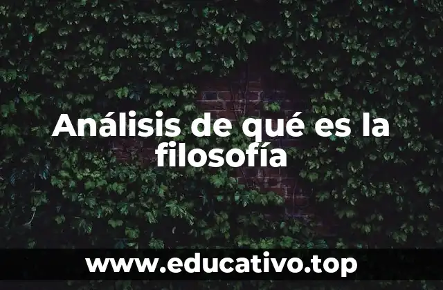 Análisis de qué es la filosofía