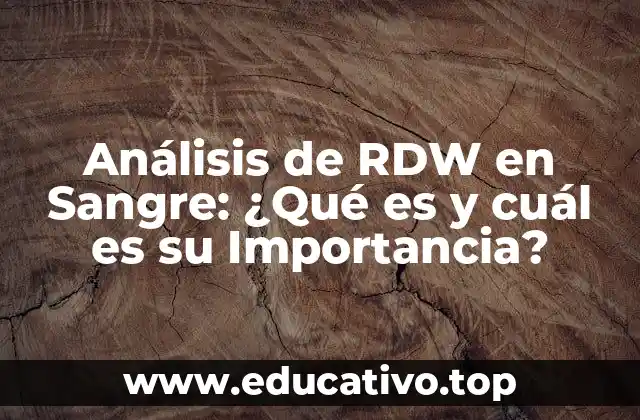 Análisis de RDW en Sangre: ¿Qué es y cuál es su Importancia?