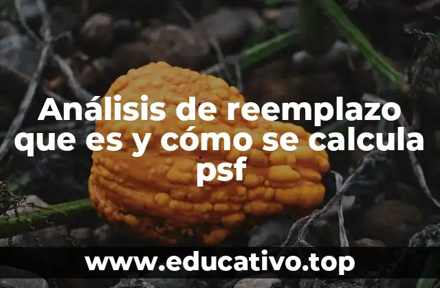 Análisis de reemplazo que es y cómo se calcula psf