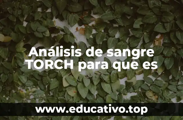 Análisis de sangre TORCH para que es