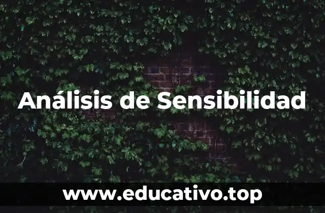 Análisis de Sensibilidad