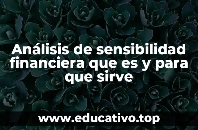 Análisis de sensibilidad financiera que es y para que sirve