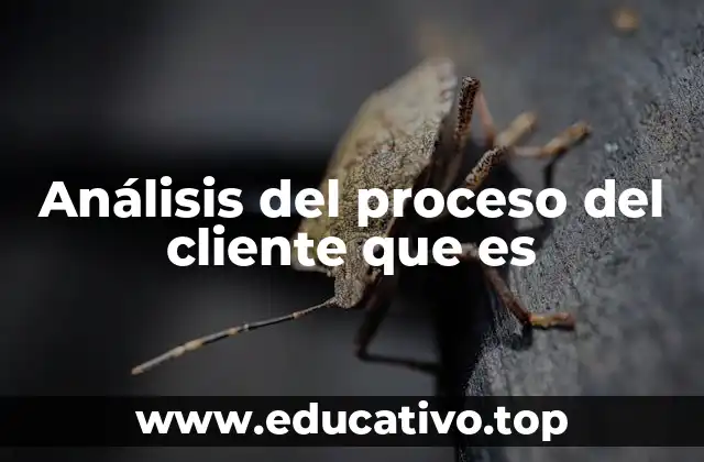 Análisis del proceso del cliente que es