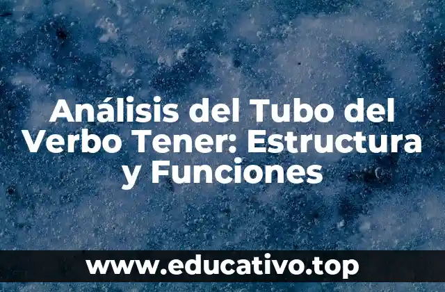 Análisis del Tubo del Verbo Tener: Estructura y Funciones