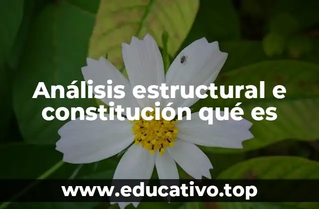 Cómo se relaciona el estudio de estructuras físicas y jurídicas