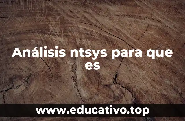 Análisis ntsys para que es