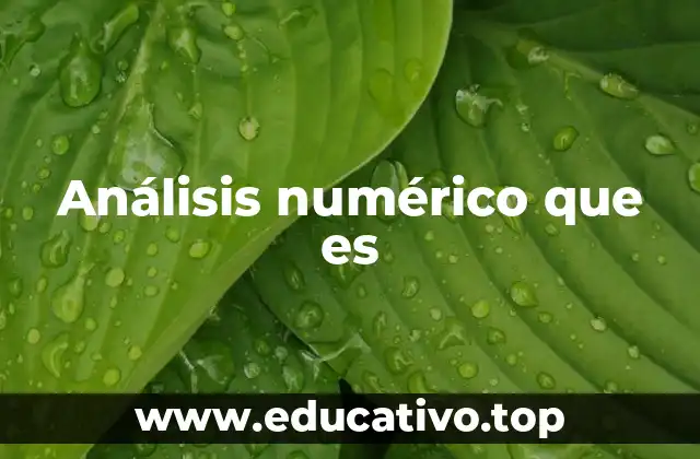 Análisis numérico que es