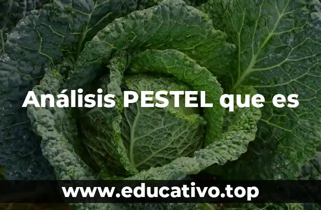 Análisis PESTEL que es