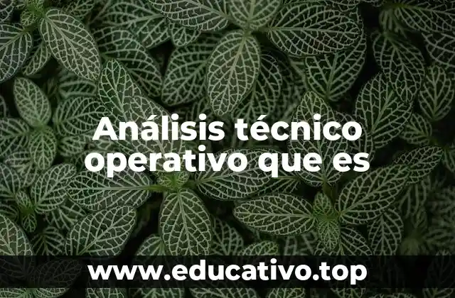 Análisis técnico operativo que es