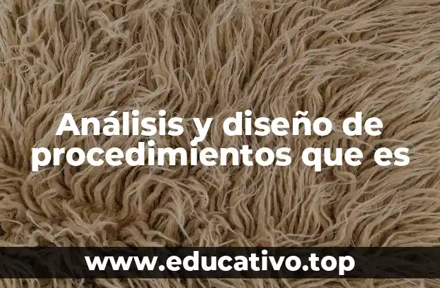 Análisis y diseño de procedimientos que es