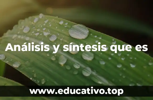 Análisis y síntesis que es