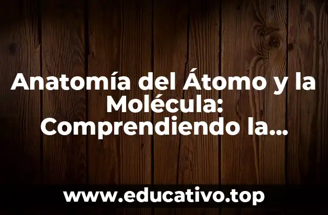 Anatomía del Átomo y la Molécula: Comprendiendo la Estructura Fundamental de la Materia