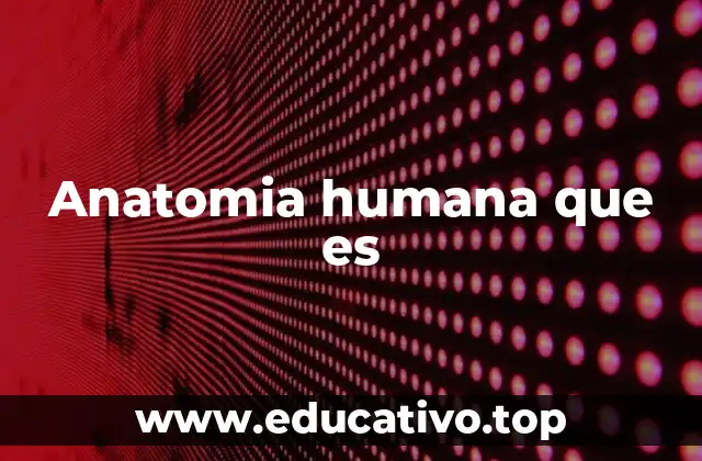 Anatomia humana que es