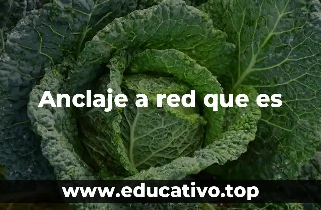Anclaje a red que es