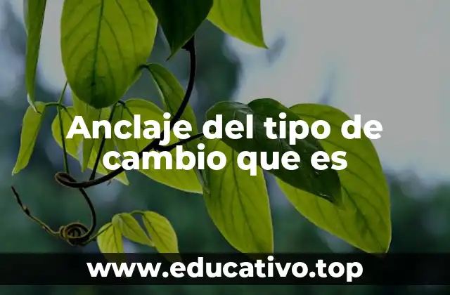 Anclaje del tipo de cambio que es