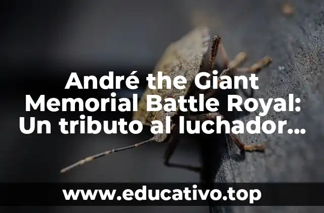 André the Giant Memorial Battle Royal: Un tributo al luchador legendario