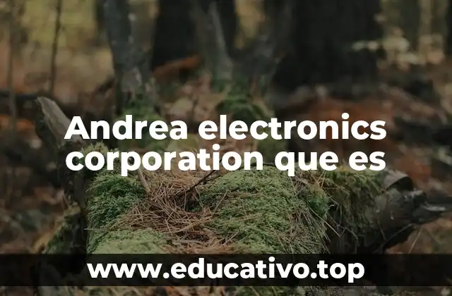 Andrea electronics corporation que es