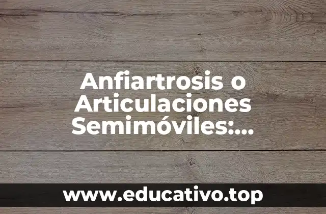 Anfiartrosis o Articulaciones Semimóviles: Funcionamiento y Características