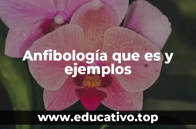 Anfibología que es y ejemplos