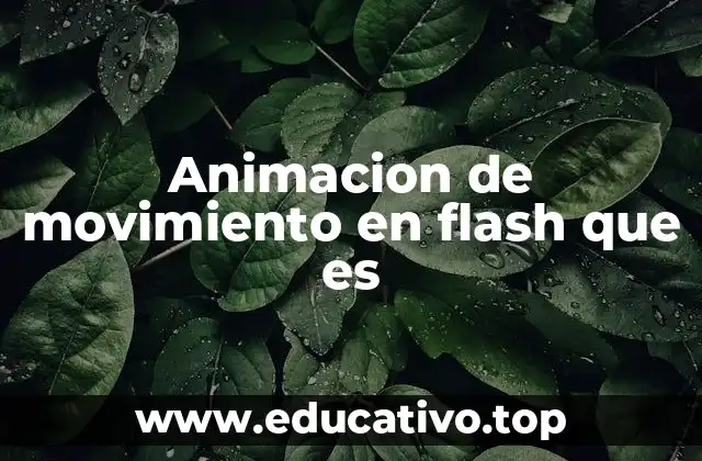 Animacion de movimiento en flash que es