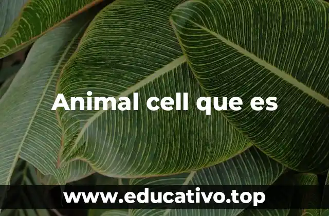Animal cell que es