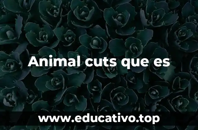 Animal cuts que es