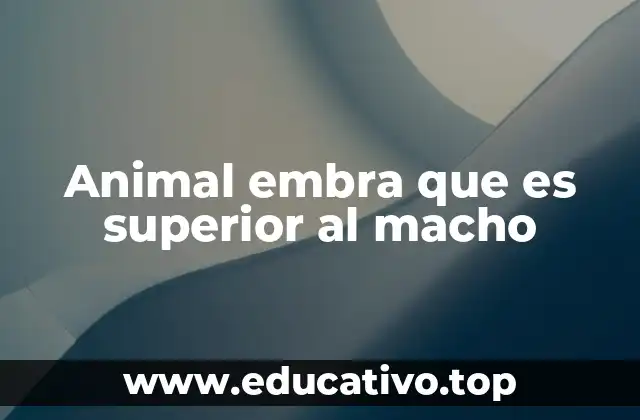 Animal embra que es superior al macho