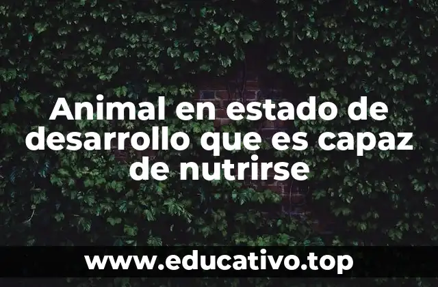 Animal en estado de desarrollo que es capaz de nutrirse