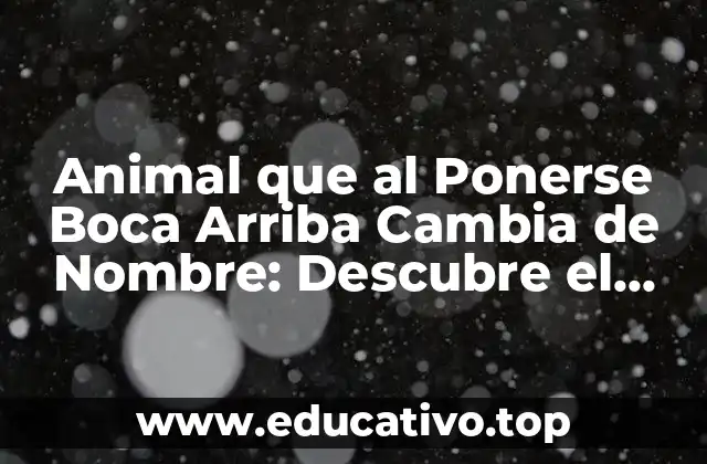 Animal que al Ponerse Boca Arriba Cambia de Nombre: Descubre el Misterio