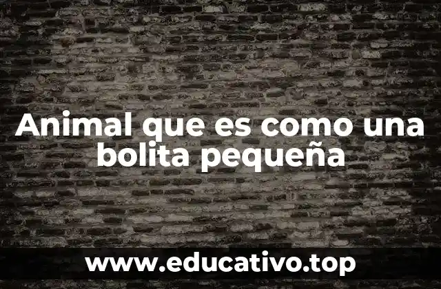 Animal que es como una bolita pequeña
