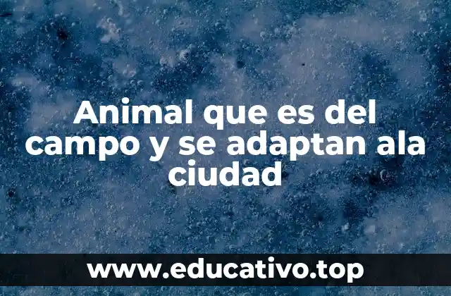 Animal que es del campo y se adaptan ala ciudad