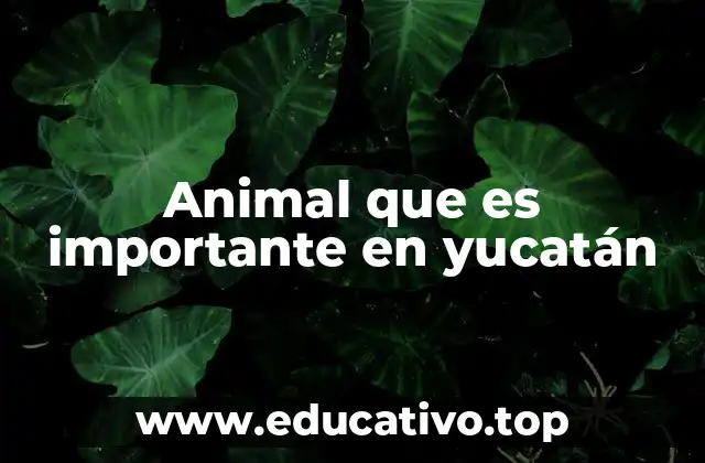 El impacto ecológico del jaguar en Yucatán