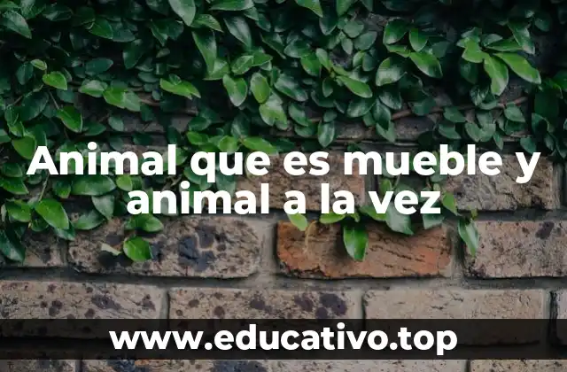 Animal que es mueble y animal a la vez