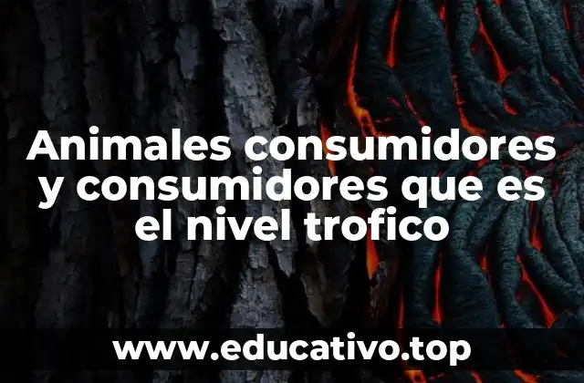 El papel de los animales en la cadena trófica sin mencionar directamente la palabra clave