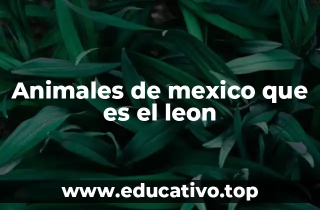 Animales de mexico que es el leon