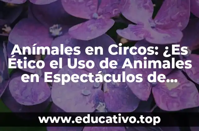 Anímales en Circos: ¿Es Ético el Uso de Animales en Espectáculos de Circo?