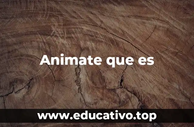 Animate que es