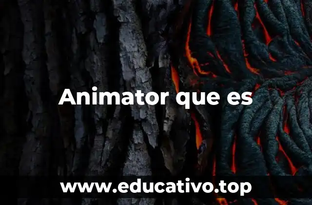 Animator que es